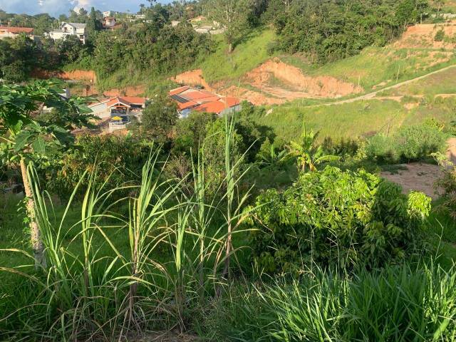 Sítio para Venda em Atibaia - 4